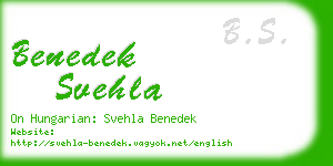 benedek svehla business card